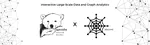 Interactive Large-Scale Data and Graph Analytics
